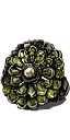 Cloranthy Ring