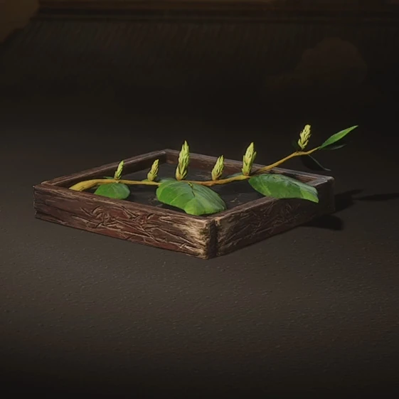 Laurel Buds (x3 in Brew)