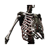 Skeleton: Epimorphic Skeleton