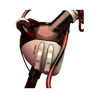 Circulatory: Second Heart