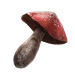 Weltcap