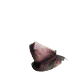 Flying Kato's Mask