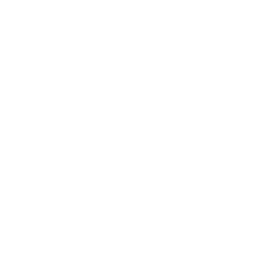 Medic