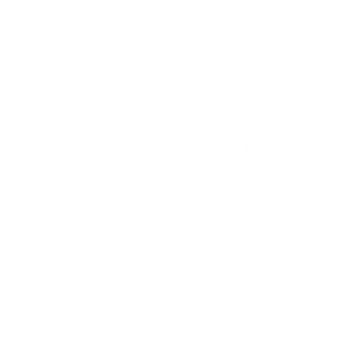 Summoner